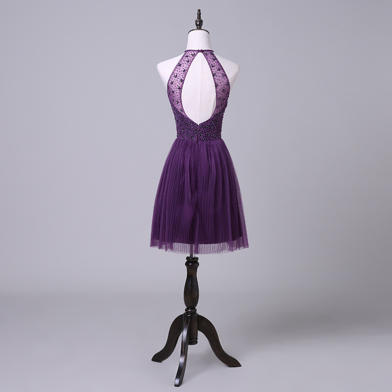 Purple Halterneck Short Homecoming Dress With Beaded Embellishment On